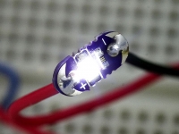 LilyPad LED سفید