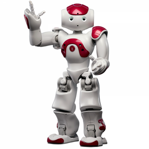 NAO Evolution V5