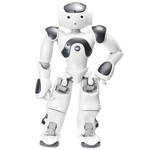 NAO V6