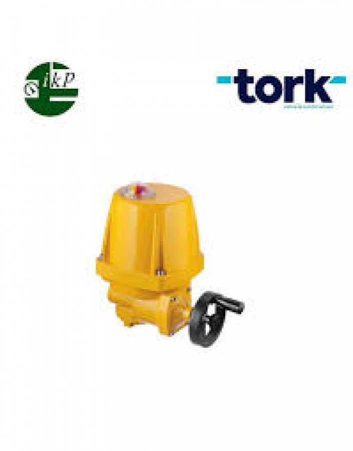 اکچوریتور الکتریکال 4-20MA - مدل محصول: TREA0060 - برند SMS TORK