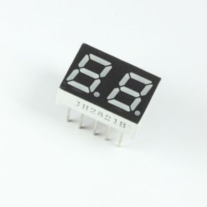 CA 7-SEG 2DIGIT-R 20*13...