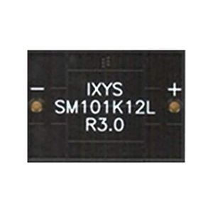 SM101K12L