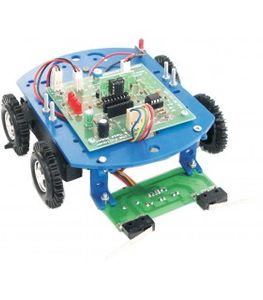کیت آموزشی دو ربات با کنترلر آنالوگ (مسیریاب - حل ماز) مدل روبونو 1
