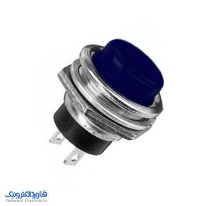 شاسی گل / آبی