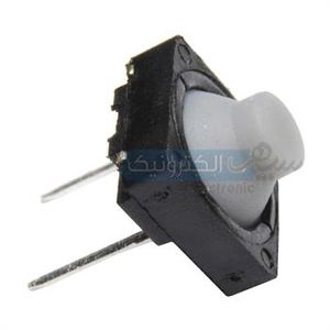 تاک سوئیچ  2پایه نرمه دار