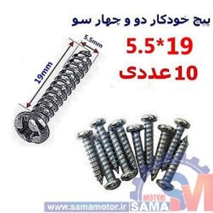 پیچ خودکار دو و چهارسو 19*5.5 بسته 10 عددی