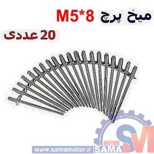 میخ پرچ M5*8 بسته 20 عددی