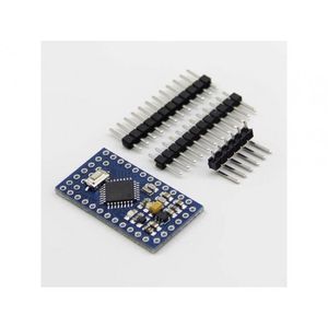 آردوینو پرو مینی