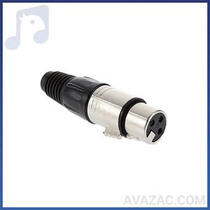 کنون مادگی دم کوتاه