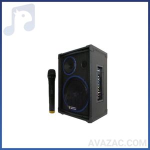 اکو همراه 6+12 اینچ بیسیم برین 12250