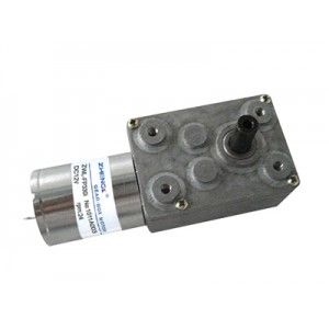 ZWL 12V 300 RPM
