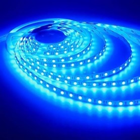 LED نواری آبی درشت 5050 60Pcs رول 5متری