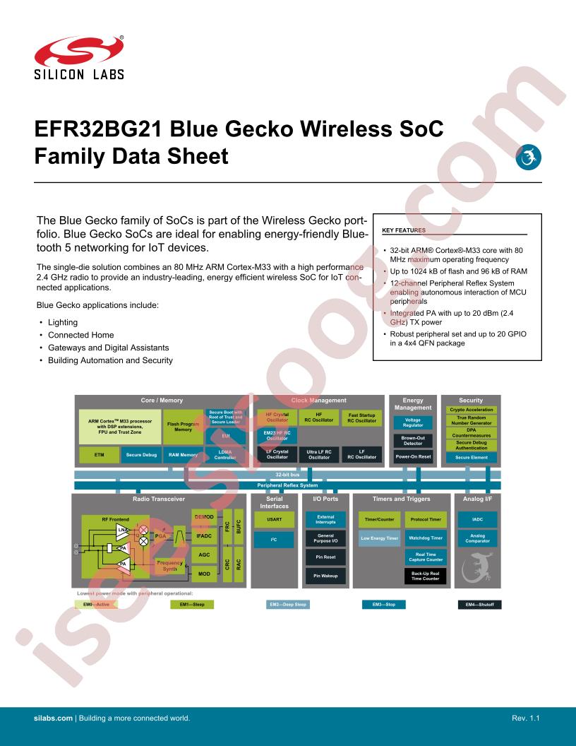 EFR32BG21 Datasheet