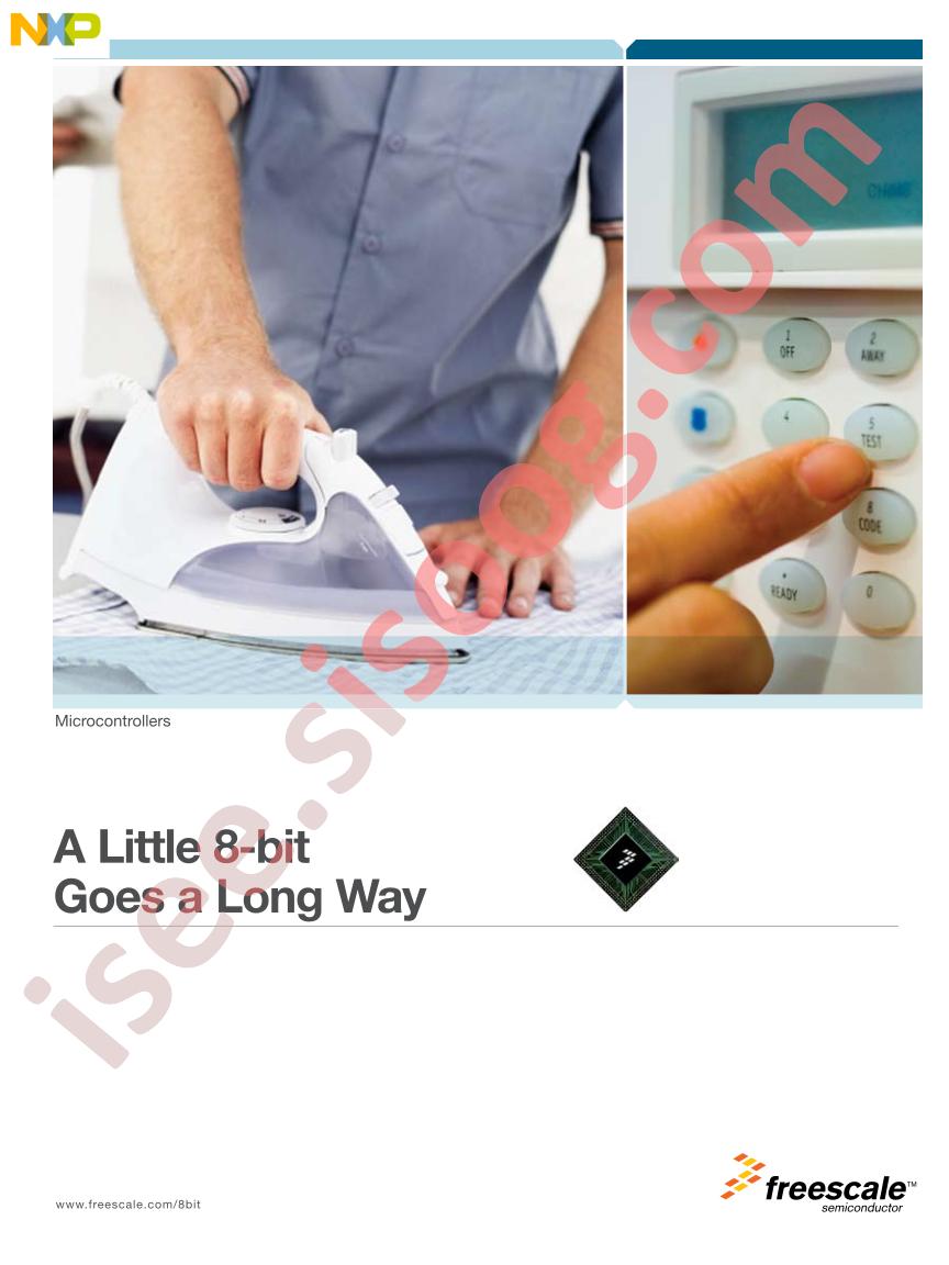 Low-End Microcontrollers Brochure