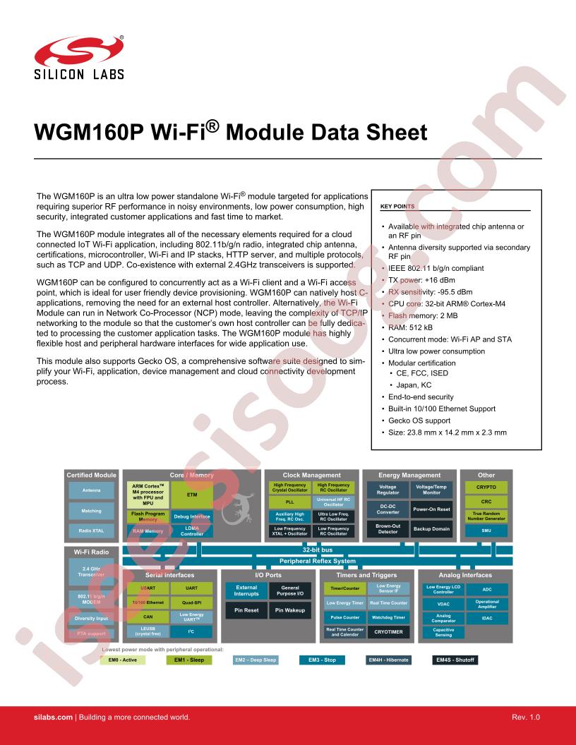 WGM160P Datasheet