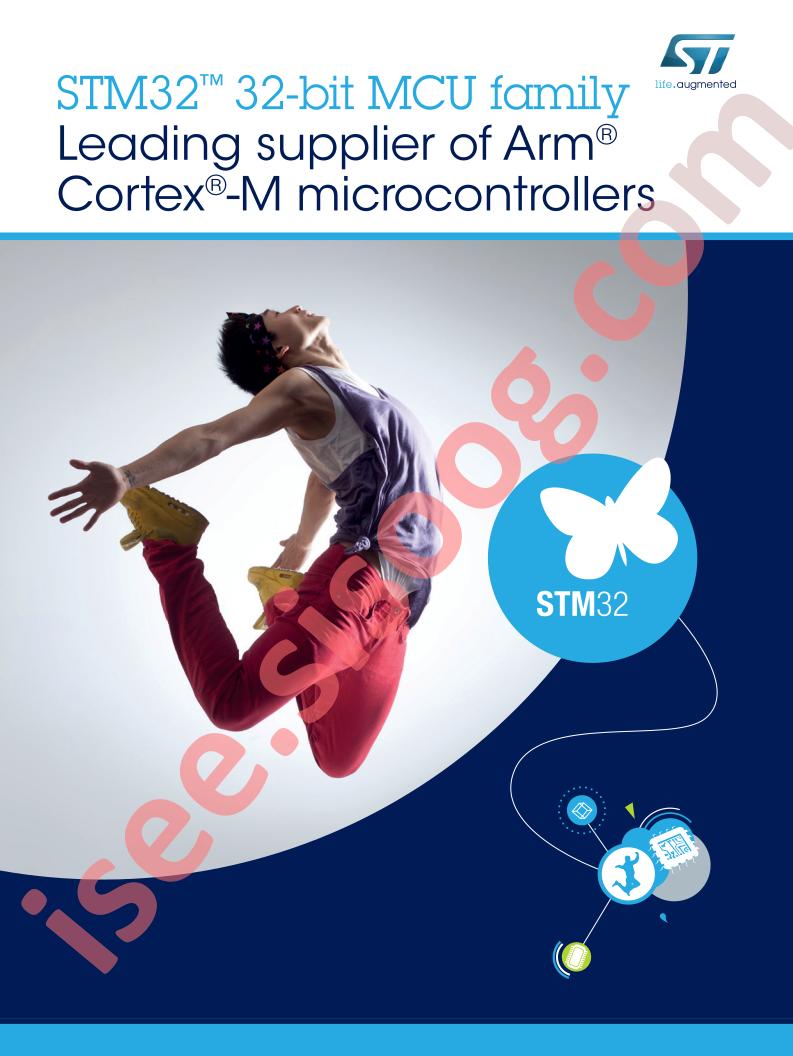 STM 32bit MCU Family Brochure