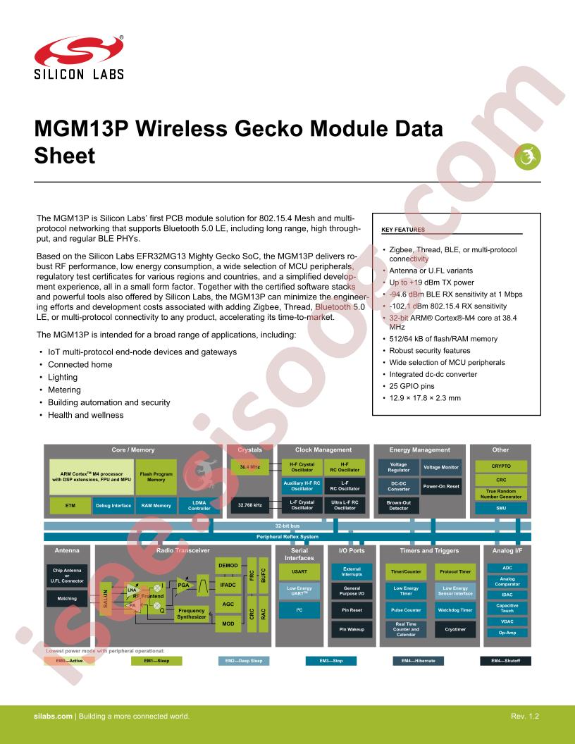 MGM13P Datasheet