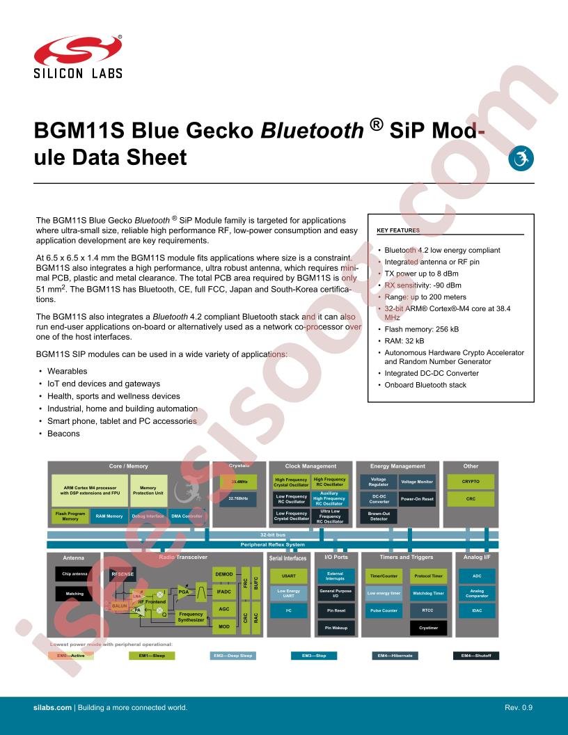 BGM11S Datasheet Preliminary~