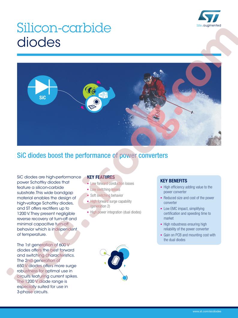 STPS Flyer