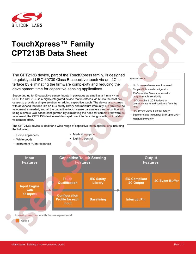 CPT213B Datasheet