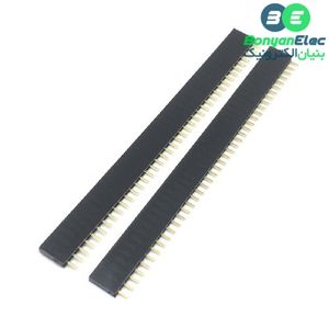 پین هدر 1×40 مادگی