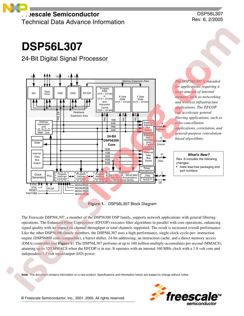 DSP56L307
