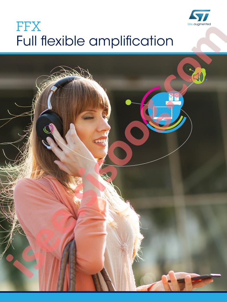 FFX Brochure
