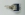 SWITCH 5046