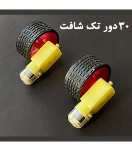 پک دو عددی چرخ و موتور گیربکس تک شافت 30 دور