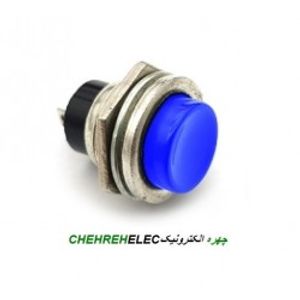 شاسی گل ابی DS-212