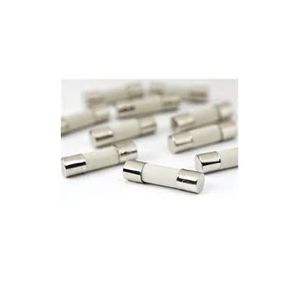 Ceramic Fuse 6A 5*20