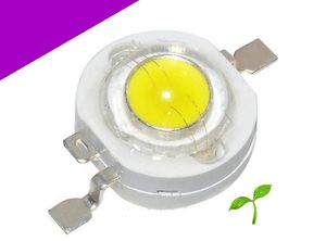 LED POWER 1W بنفش (رشد گیاه)
