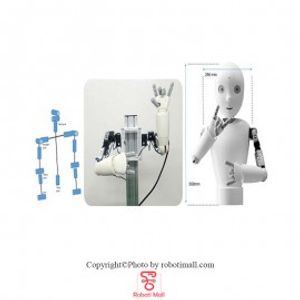 ربات اجتماعی رسا