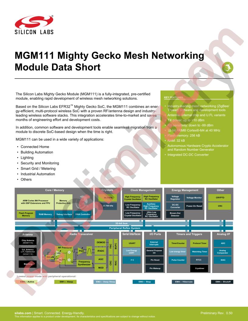 MGM111E256V1