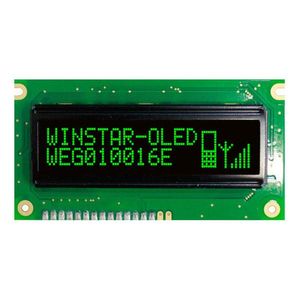 WEG010016EGPP5N00000