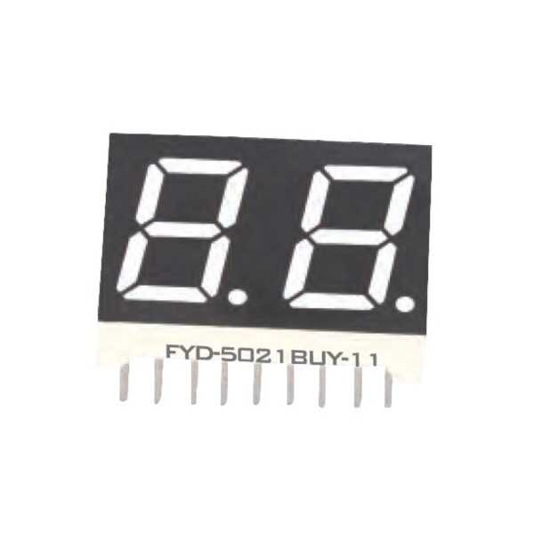 FYD-5021BUHR-21