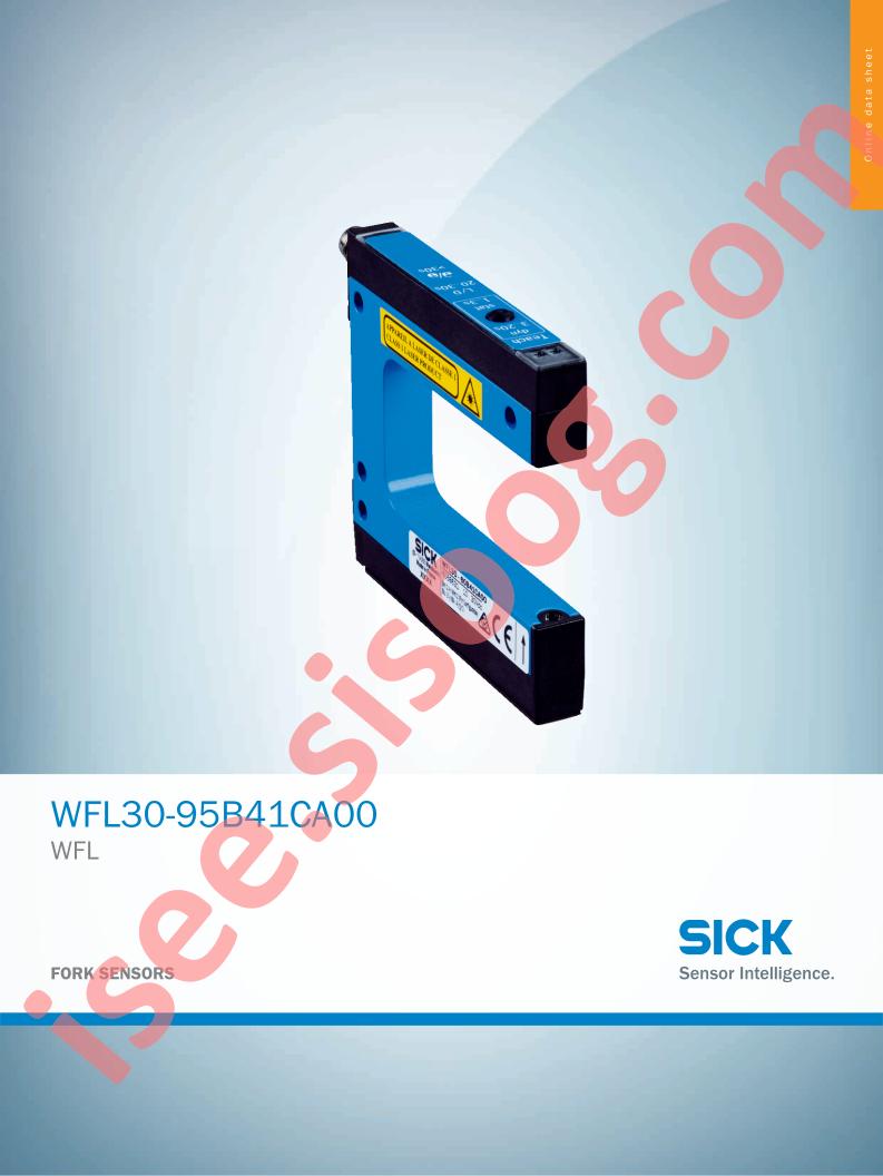 WFL30-95B41CA00