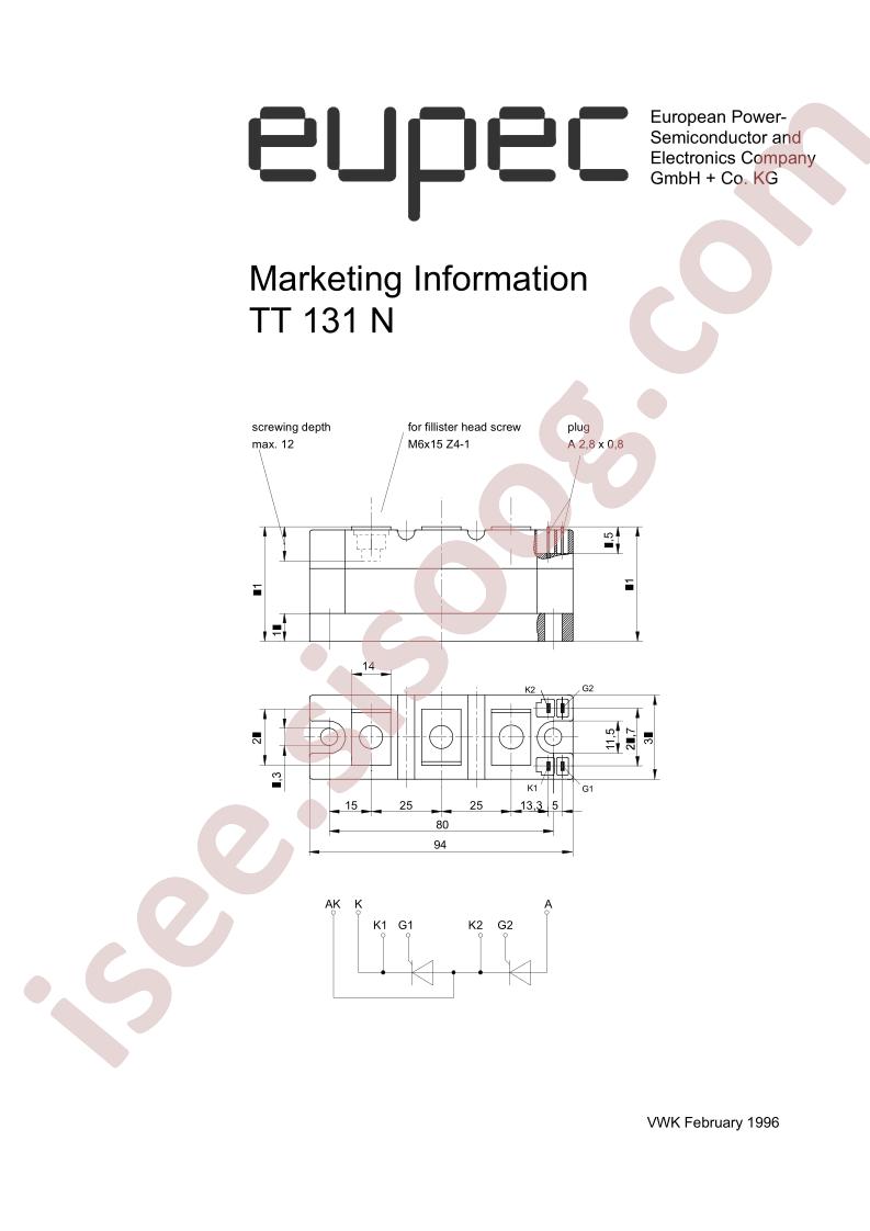 TT131N