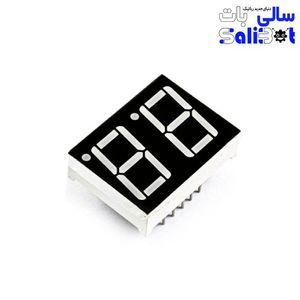 سون سگمنت دو رقمی 0.56 اینچ آند مشترک