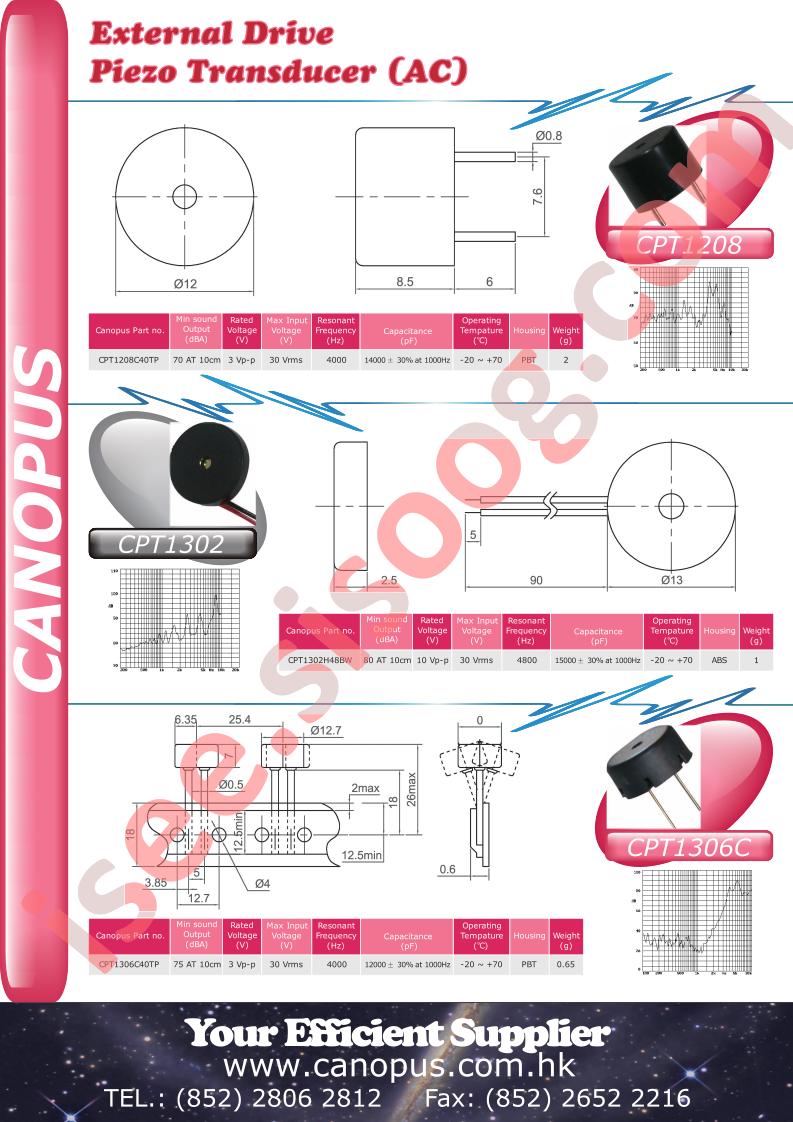 CPT1306C