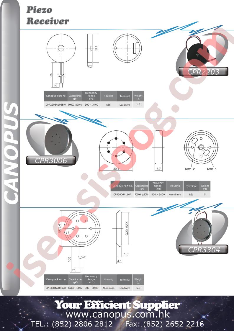 CPR3006A110A