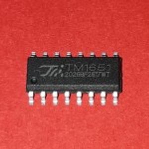 TM1651