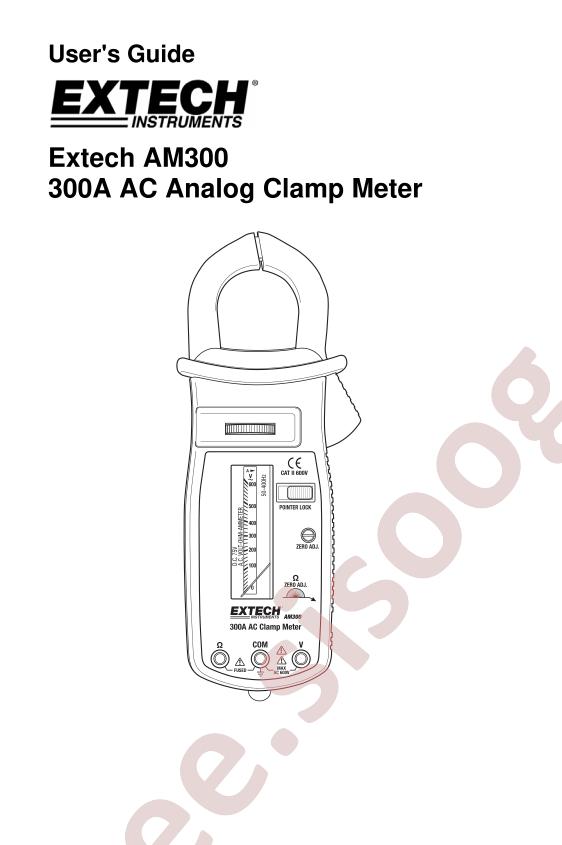 AM300