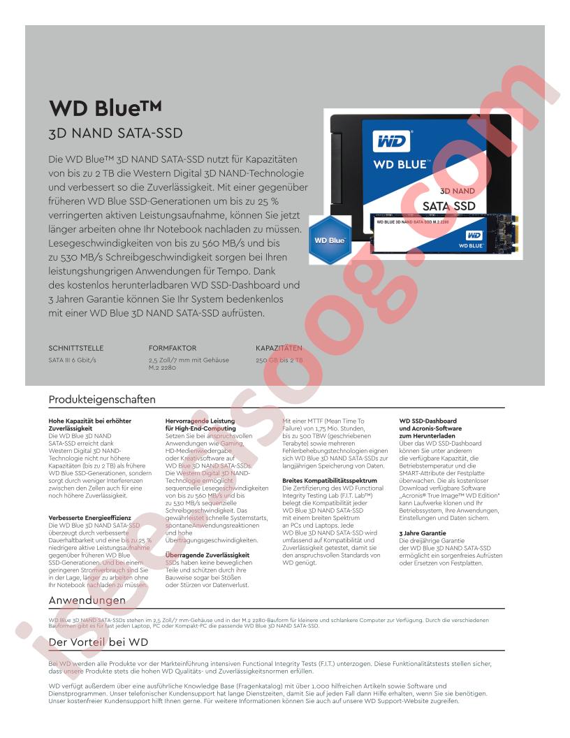 WDS200T2B0A
