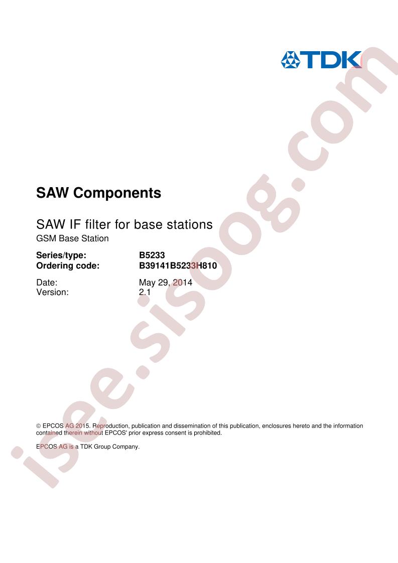 B39141B5233H810
