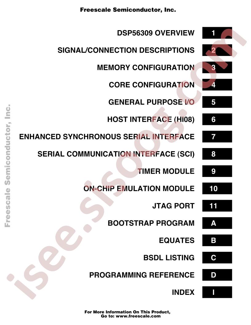 DSP56309