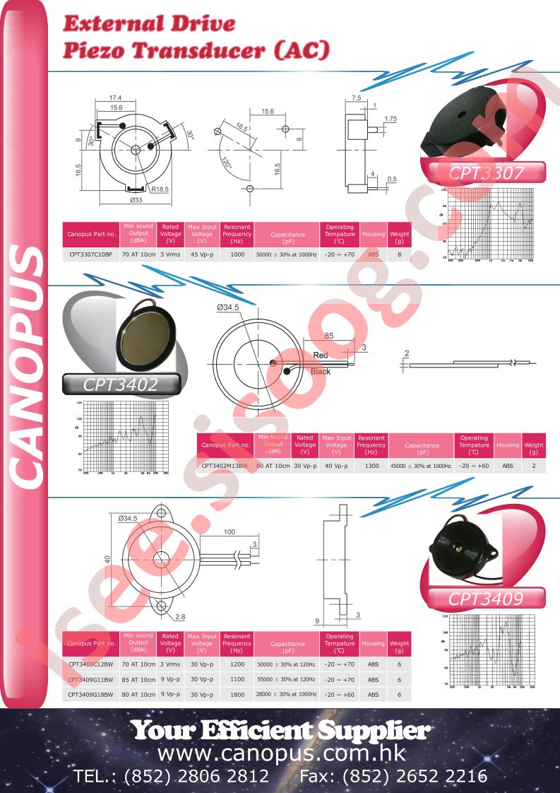 CPT3307
