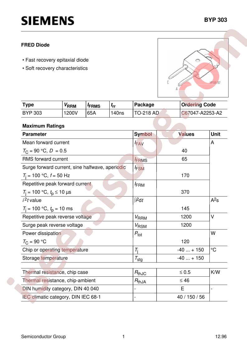 BYP303