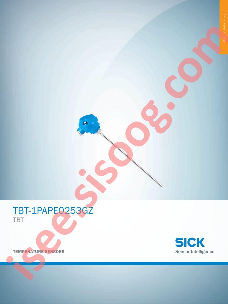 TBT-1PAPE0253GZ