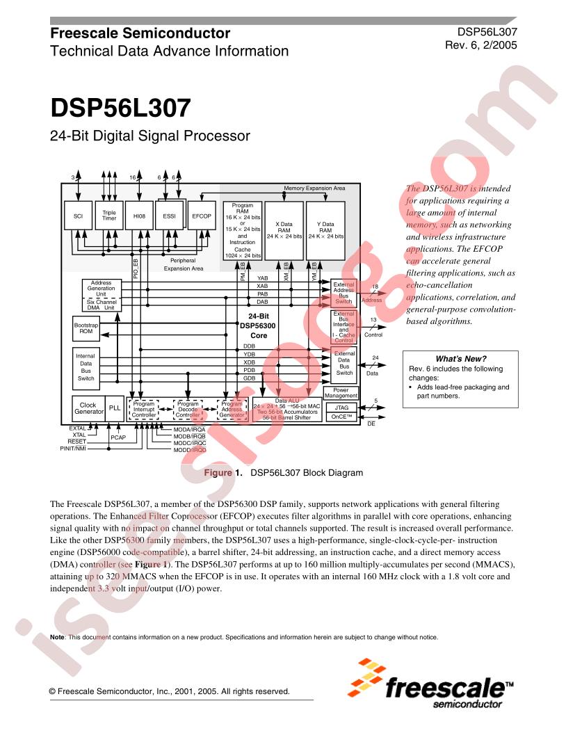 DSP56L307